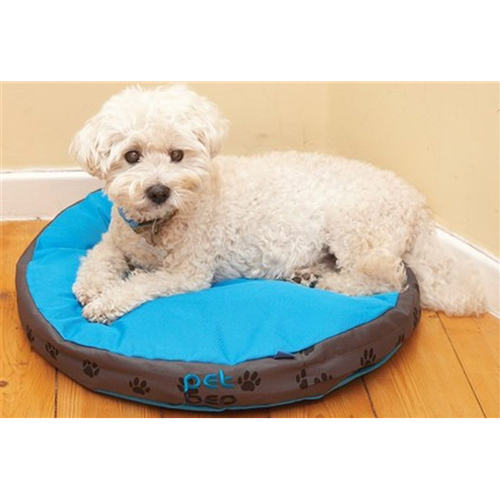 Dog beds & carriers